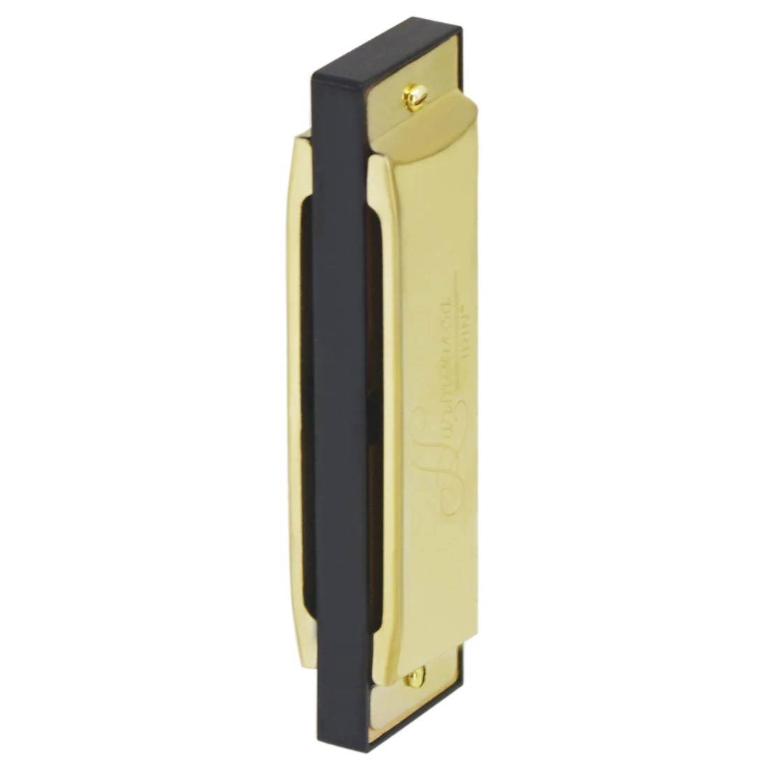 IRIN Harmonica 10 Hole 20 Tone - Harmonica 10 Hole 评论和价格