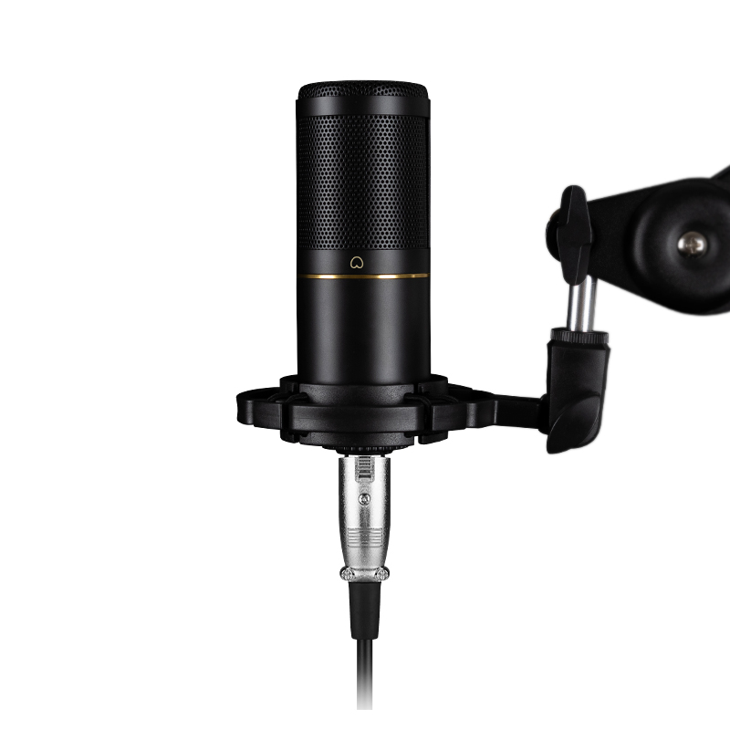 Professional Podcast Recording - Xlr Microphone Condenser 评论和价格