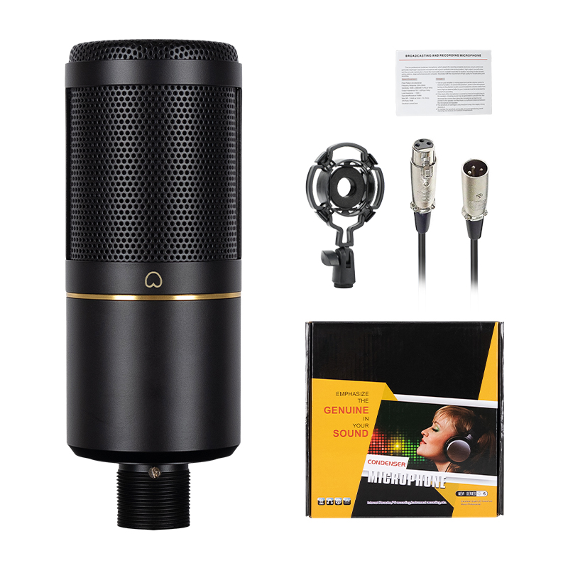 Professional Podcast Recording - Xlr Microphone Condenser 评论和价格