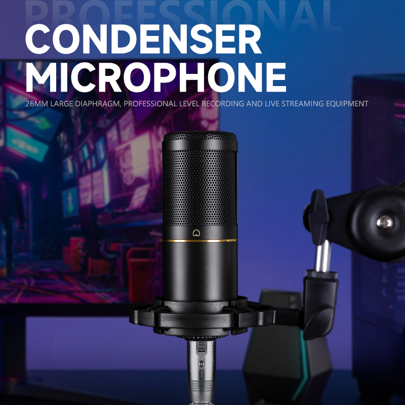 Professional Podcast Recording - Xlr Microphone Condenser 评论和价格