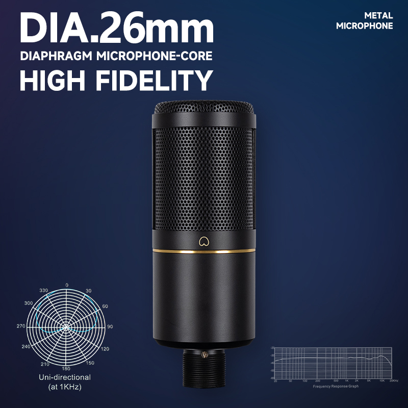 Professional Podcast Recording - Xlr Microphone Condenser 评论和价格