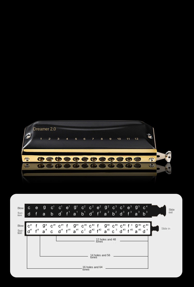 EASTTOP Dreamer 2.0 version 12 - Harmonica 10 Hole 评论和价格