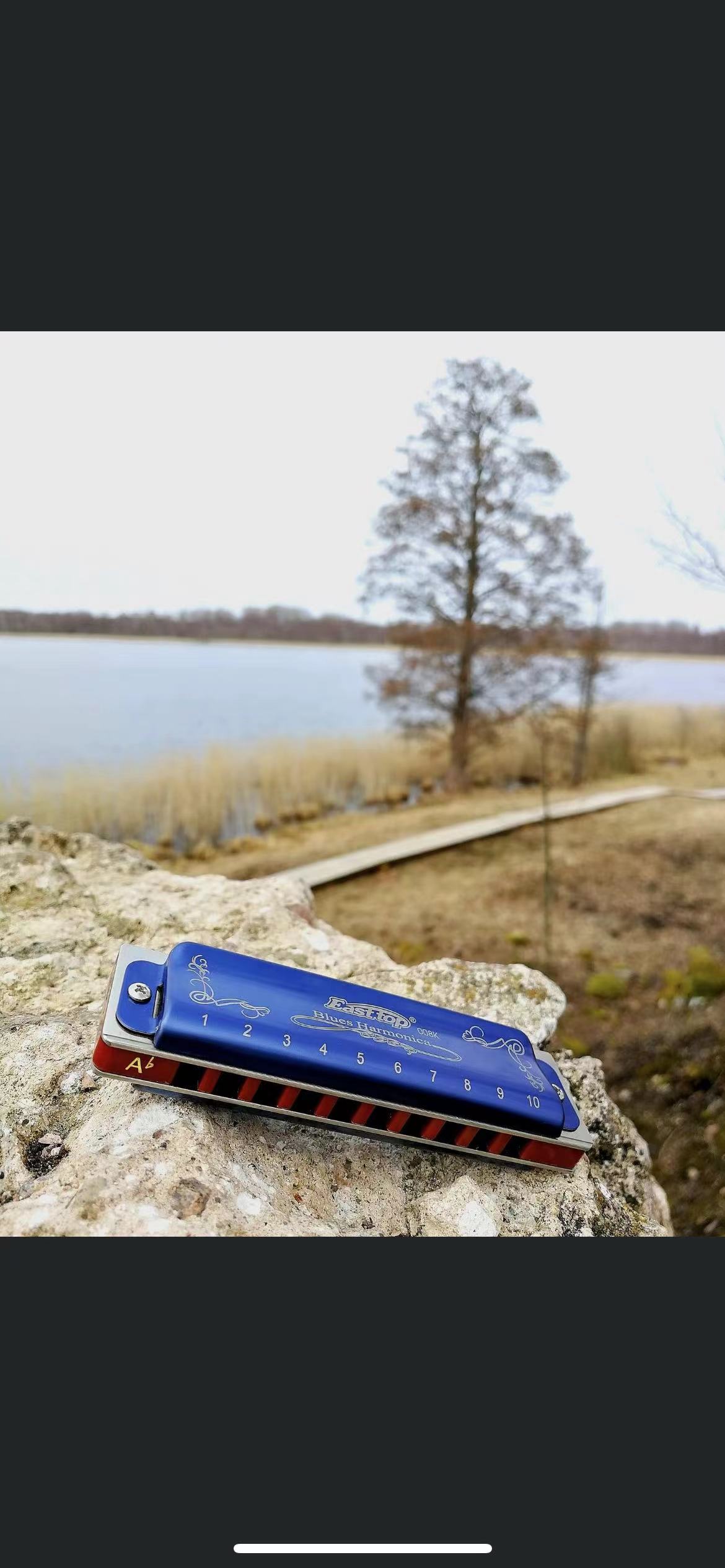 EASTTOP T008K Key of a New Blu - Harmonica 10 Hole 评论和价格