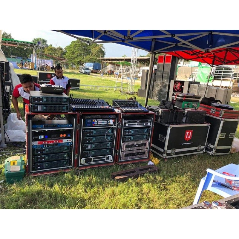 Professional 18-inch Line Arra - Audio Music Live 评论和价格