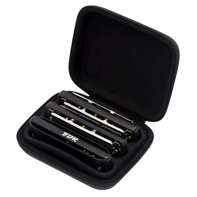 Diatonic Harmonica Case, 10 Ho - Harmonica 10 Hole 评论和价格