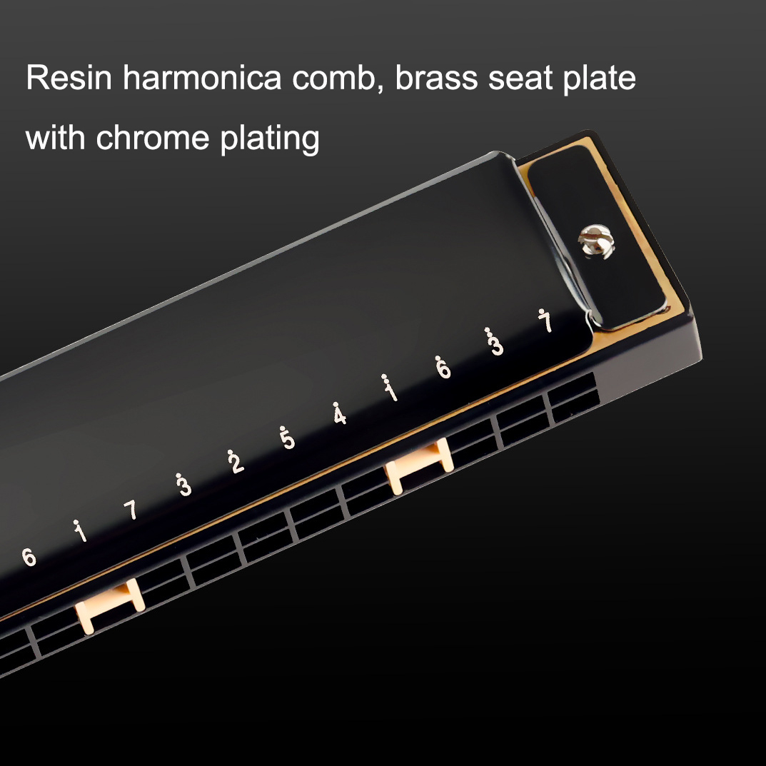 Guoguang Tremolo Harmonica 24  - Harmonica 10 Hole 评论和价格