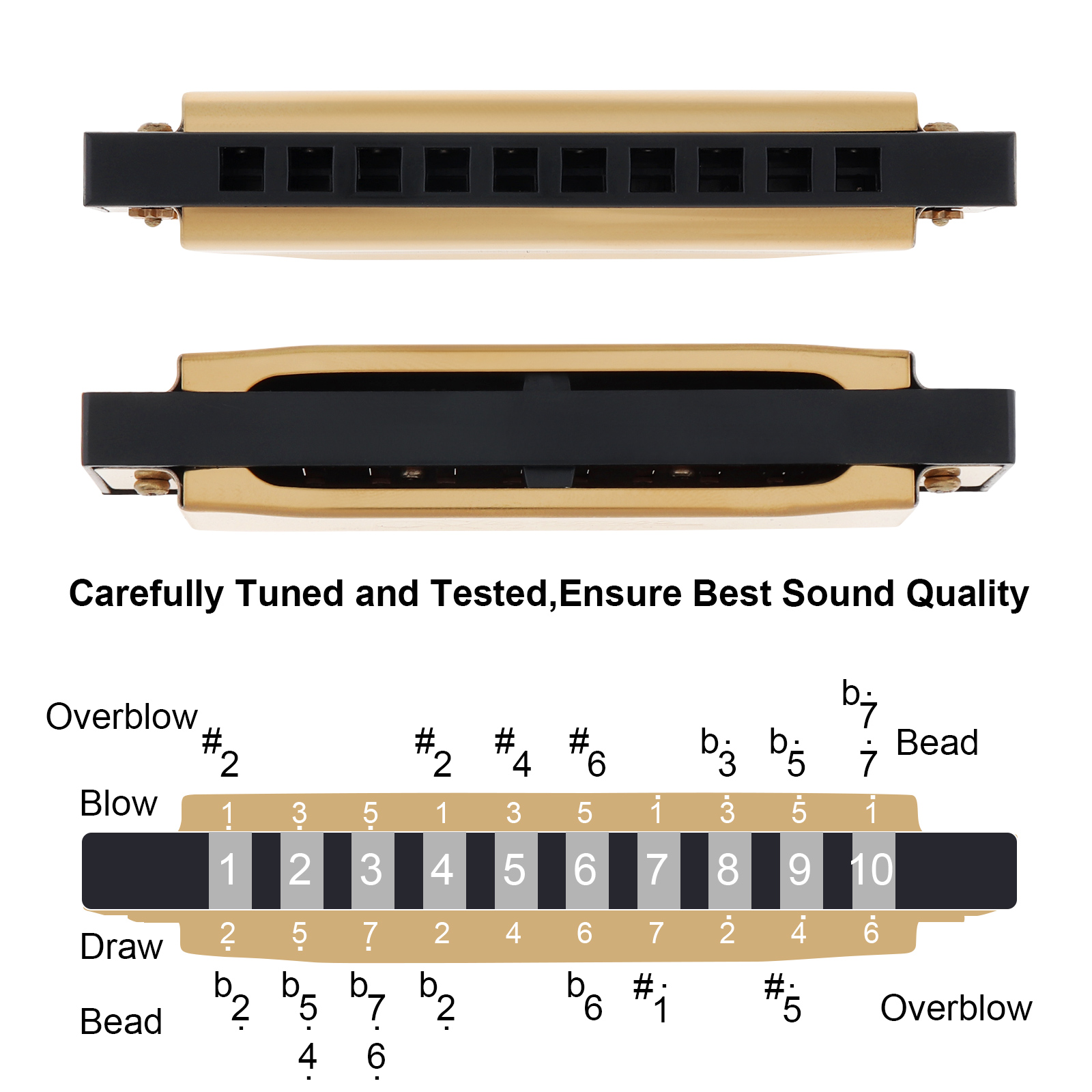 Silver / Gold KeyC 10 Hole 20  - Harmonica 10 Hole 评论和价格
