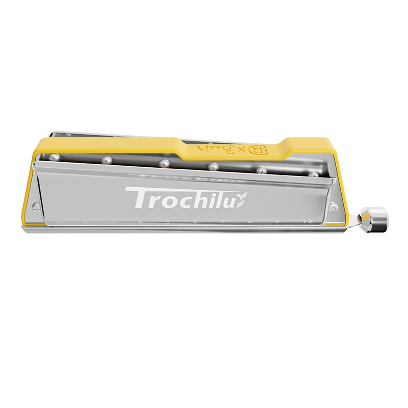 JDR Trochilus Harmonica Blues  - Harmonica 10 Hole 评论和价格